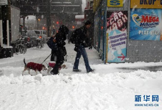 美国东北部暴风雪肆虐 超过10万户人家断电