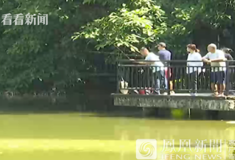 广西现1.45米食肉水怪 锦鲤被团灭