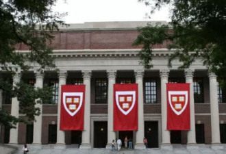 为何真正的哈佛学生在很多国人眼里都是傻子？