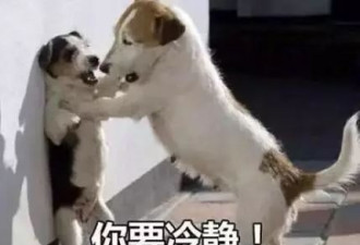 人不贩我，我不贩人！18岁少女反卖人贩子
