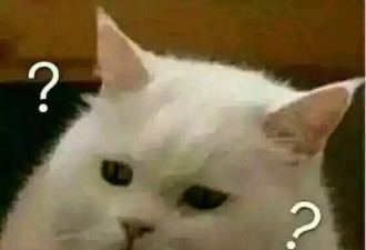 动车占座大妈抓伤劝让乘客：他们骂我不要脸