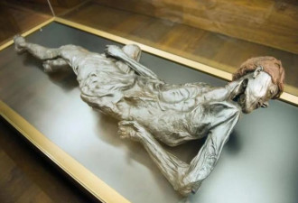 丹麦展出泥塘中保存千年的遗体 器官皮肤完好