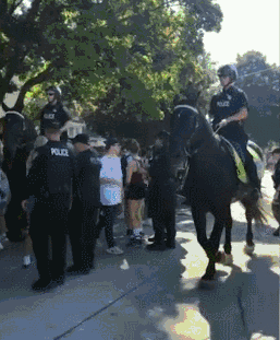 加拿大警察从学生身上踩过后 竟直接扬长而去