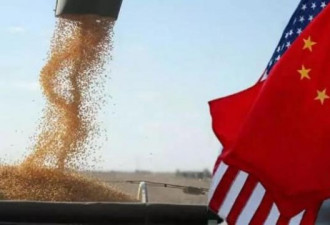 中美贸战新升级 美国大豆仍世界第一 无人能及