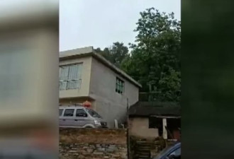 一家三口摘野板栗被马蜂蜇伤 妻女身亡
