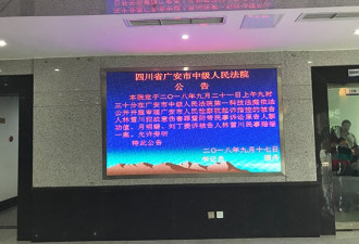 女副区长遭家暴致死案：男友被控故意伤害罪