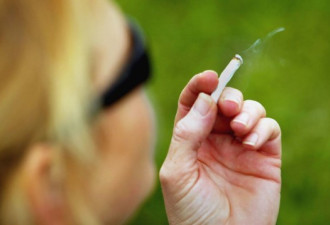卡尔加里大学禁止在校园内吸大麻