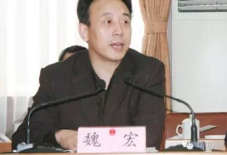 四川省长魏宏被查 美女市委书记狱中与其串供