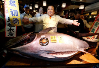 日本水产市场开市 金枪鱼7400万日元成交
