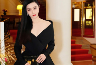 港媒：北京成立范冰冰专案组 远赴美国调查