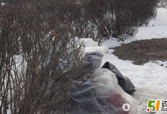 长春一名女子吵架离家 睡雪地盖塑料布