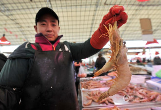 这是青岛的海鲜年货市场 大虾18元一只
