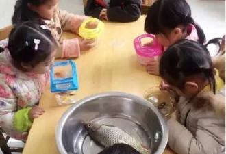 “带鱼孩子”成网红 父亲:钓的鱼难吃就给他玩
