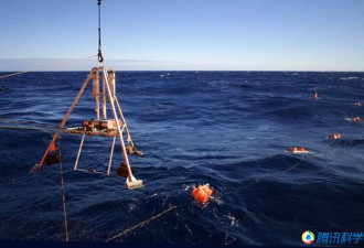 马里亚纳海沟8000米处 科学家发现新物种