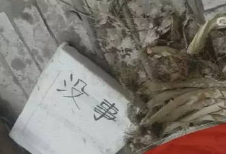 为让父亲妥协 少女活活将亲生母亲折磨致死
