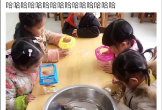 “带鱼孩子”刷爆网络 快来听听粗心爸爸的解释