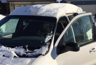 车顶上雪太多：男子 “顶雪” 驾驶被罚 $240