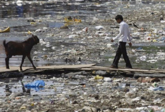 镜头里另一个真实的印度：垃圾多的让人崩溃！