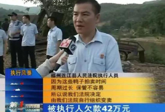 男子欠42万用鸭抵债4千只鸭被拍卖场面失控