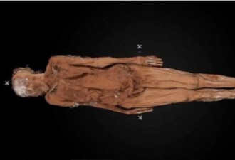 纽约工人挖到尸体 19世纪女尸真实身分曝光