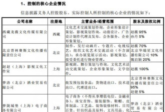 赵薇30亿控股上市公司钱从哪里来？回应:借的