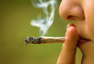 加拿大专家：二手大麻危害不亚于二手烟