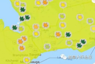 大多伦多北部居然还有如此隐秘赏枫圣地