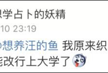 方便面织毛衣视频热传 成功炸开了网友们的脑洞