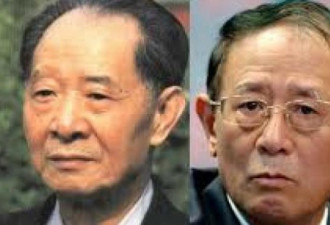 胡德平出头为民企打抱不平