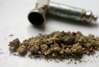 美国边境官截获加拿大750公斤大麻