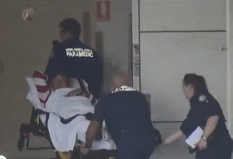 悉尼西区一男子被袋鼠“揍”到进医院