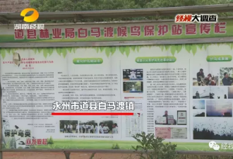 这家人一家三代护鸟30年 儿子却因护鸟“获刑”