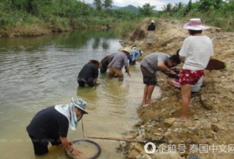 洪水消退，男女老少拿起大锅冲进河道淘金