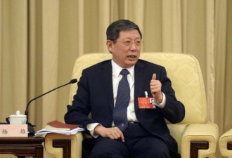 杨雄正式辞职上海市长职务