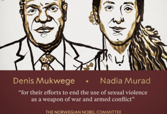 今年的诺贝尔和平奖给了他们俩！反对性暴力