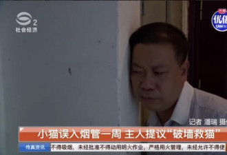 小猫误入烟管，主人提议&quot;破墙救猫&quot; 邻居拒绝