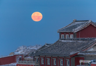 瑞雪兆丰年，雪后泰山宛如仙境 静谧 祥和