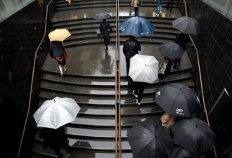 悉尼全城大雨倾盆！150人报警求助！