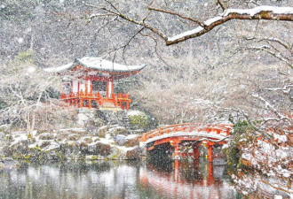 日本多城连日来罕见大雪 京都雪景美到炸裂