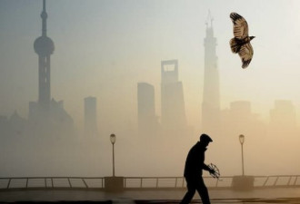 雾霾的蝴蝶效应:催生中国人“公民性”觉醒