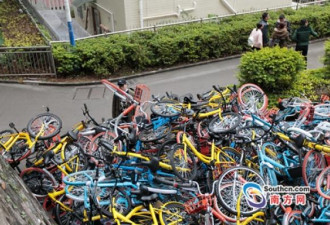 触目惊心！中国城市公共自行车竟被玩成这样！