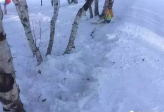 北大女生滑雪遇难 知情人：刹了两次没刹住撞树