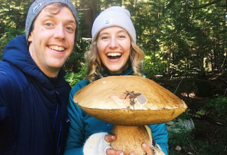 感恩节特别礼物 温哥华夫妇采到6斤重巨型蘑菇