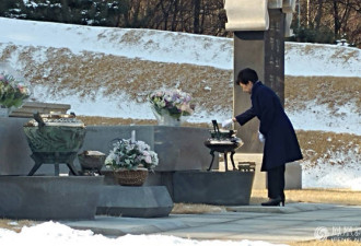 朴槿惠停职后首次外出：为父母扫墓