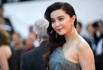 面对范冰冰纳税风波 英法新媒体这两天都发声了
