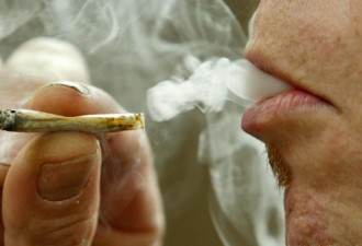 哪省的人最爱吸大麻：新省BC最多 魁省最少