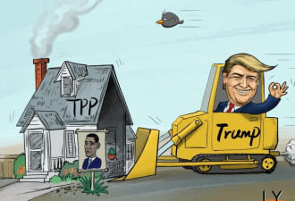 日内阁批准TPP 日媒：安倍施政设计图已崩