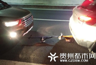 贵州：车子高速上燃油耗尽,司机脱裤子救急