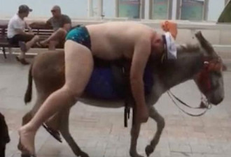 俄罗斯男子醉酒不省人事 半裸骑驴上漫步街头