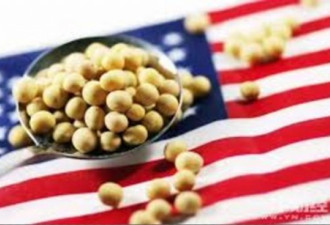 中美贸易战大豆进口锐减，中国家畜无奈减肥